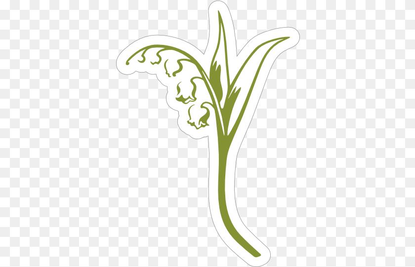 373x541 Alpha Phi Lily Of The Valley Illustration, Flower, Plant Sticker PNG