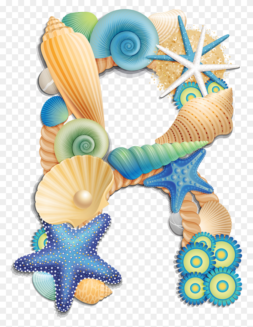 769x1024 Alphabet Beach Blue Seashell Alphabet Letters, Sea Life, Animal, Toy Descargar Hd Png