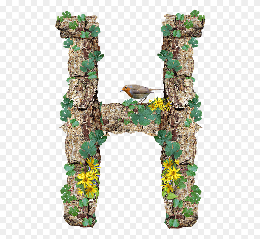 489x712 Alphabet Letter H Rustic Timber Bark Transparent Letter H, Bird, Animal, Hole HD PNG Download