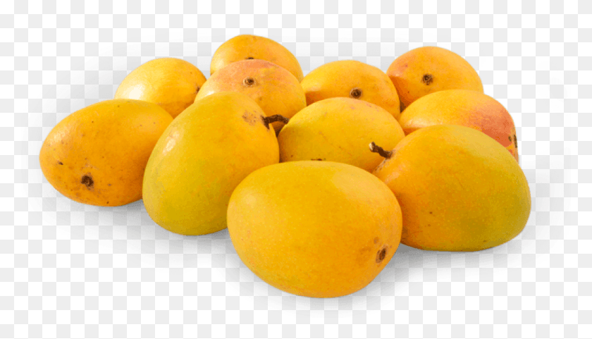 1000x541 Descargar Png Alphonso Mango Box 8 Alphonso Mango, Planta, Fruta, Alimentos Hd Png
