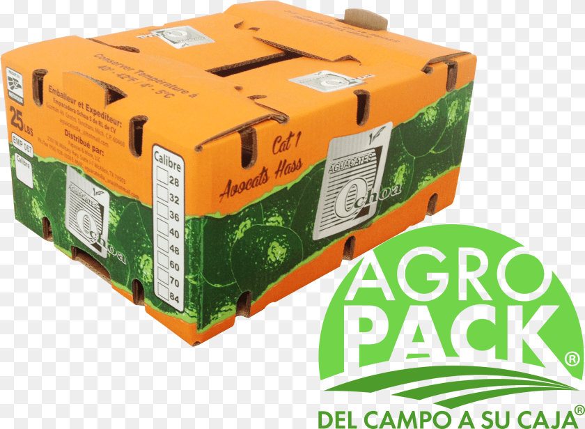 2671x1959 Alt Alt Alt Cajas De Carton Para Aguacate, Food, Plant, Produce, Pumpkin Sticker PNG