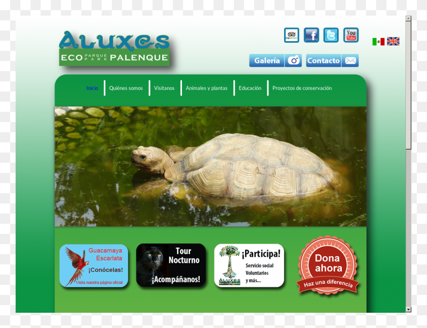 1025x769 Aluxes Ecoparque Palenque Competitors Revenue And Tortoise, Turtle, Reptile, Sea Life HD PNG Download