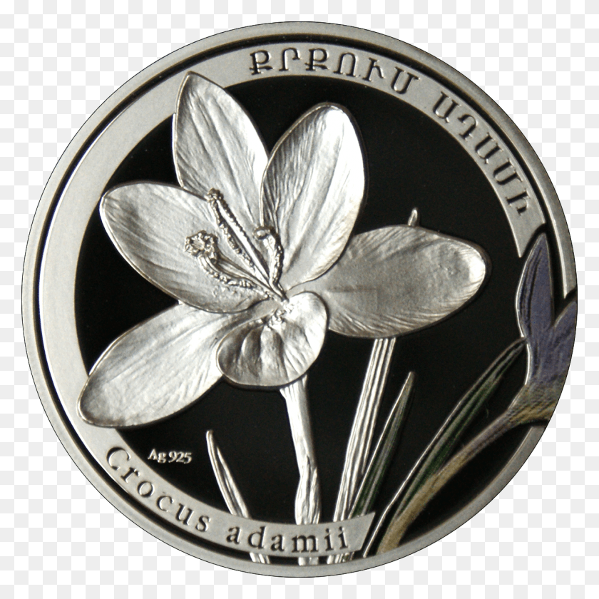 1200x1200 Am 1000 Драм Ag 2011 Crocus B Серебряная Монета Цветок, Деньги Hd Png Скачать