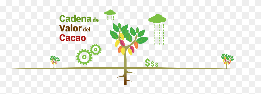 1516x472 Am 10013 Cadena Valor Paso 2 2 10162015 Cadena Productiva De Cacao, Plant, Tree, Graphics HD PNG Download