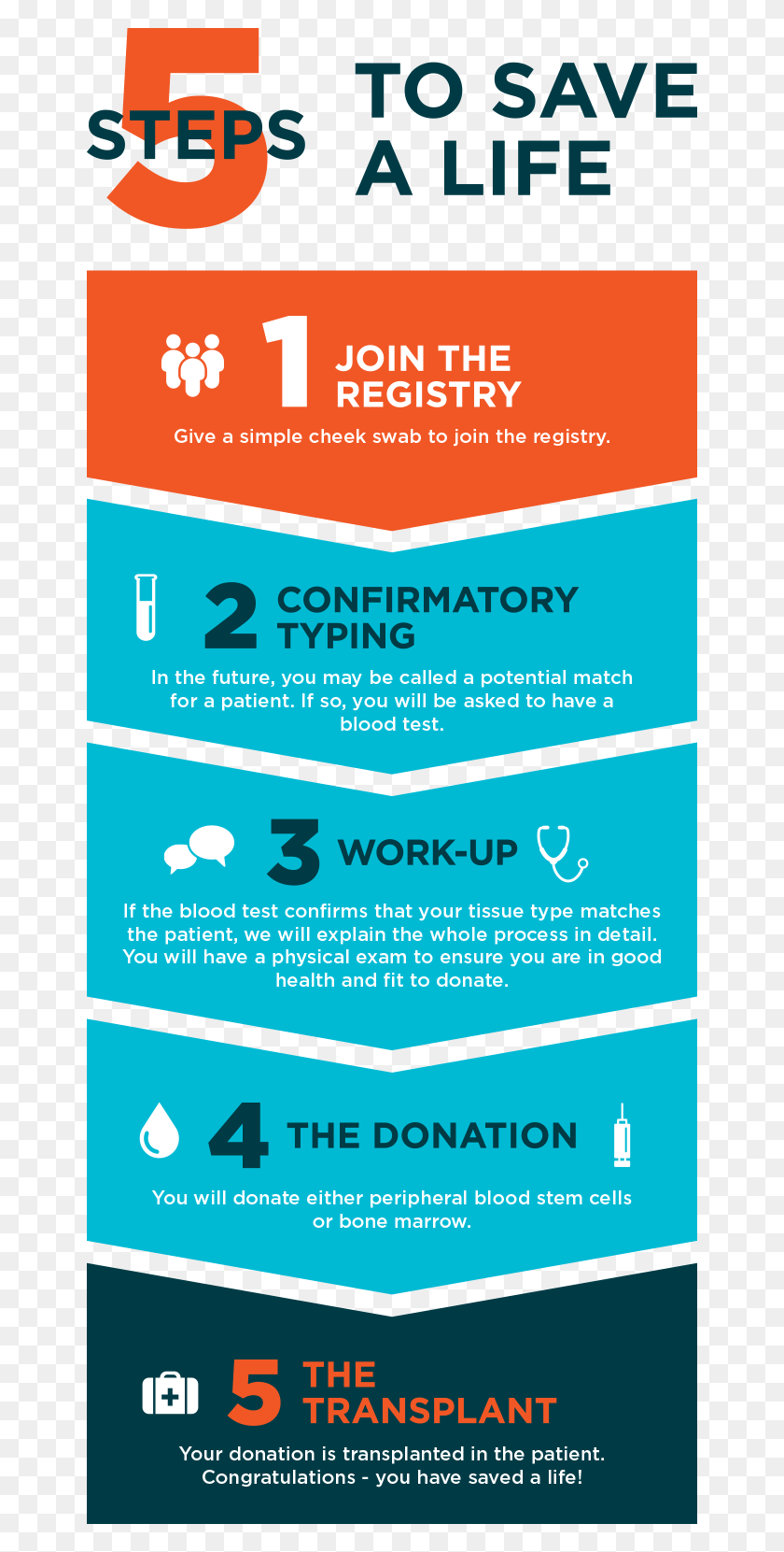 654x1601 Am I In The Registry Age Matters Conditions Search Steps In Donating Blood, Text, Paper, Business Card HD PNG Download