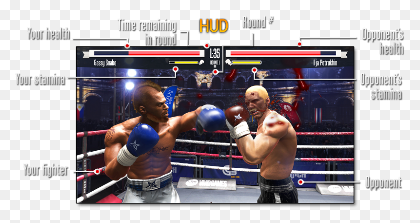 800x397 Amateur Boxing Amateur Boxing, Person, Human, Sport HD PNG Download