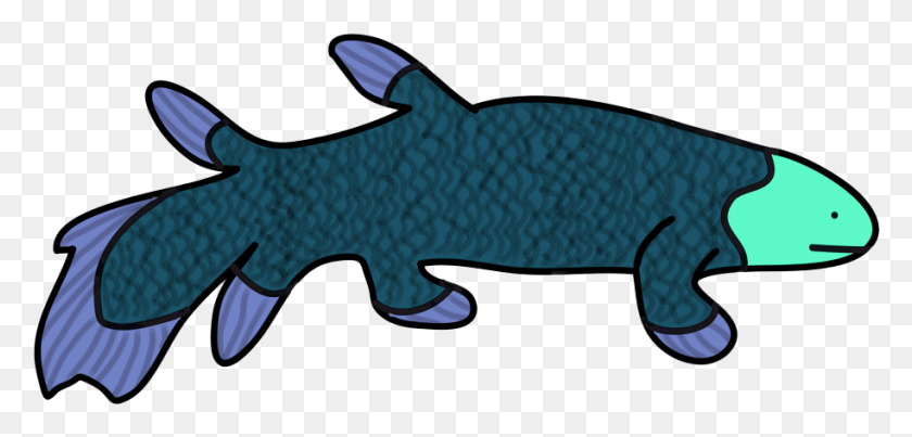 914x402 Amateurish Coelacanth Shark, Fish, Animal, Leisure Activities HD PNG Download