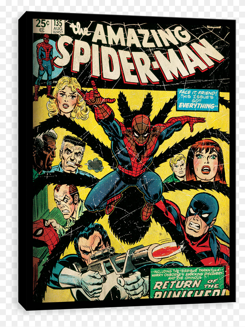 900x1225 Amazing Spider Man, Comics, Book, Person HD PNG Download