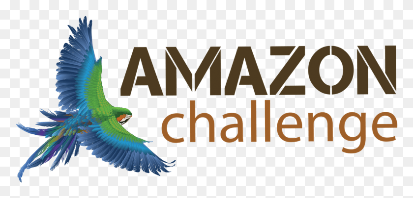 1255x554 Amazon Challenge Jungle Adventure Черная Мамба, Животное, Птица, Попугай Hd Png Скачать