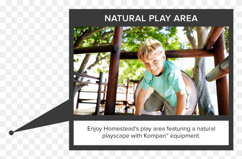 1015x640 Amenity Center Natural Play Area Tree, Person, Human, Advertisement HD PNG Download