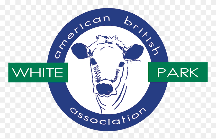 777x482 American British White Park Association, Vaca, Ganado, Mamífero Hd Png