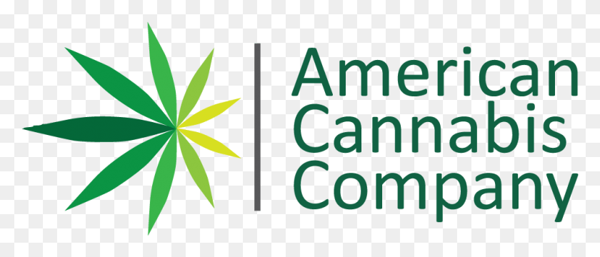 993x383 American Cannabis Company Transitioning To Full Service Analytics Canvas, Plant, Flower, Blossom HD PNG Download