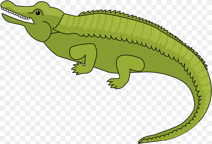 1878x1278 American Crocodile, Animal, Reptile, Lizard, Snake Clipart PNG