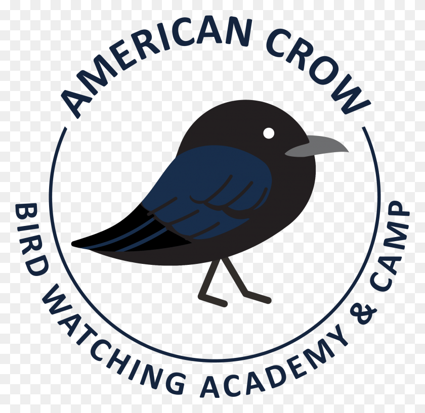 2014x1957 American Crow America 39S Most Just Companies, Bird, Animal, Jay Hd Png