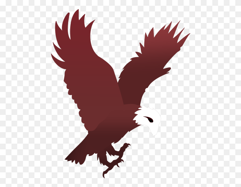 488x591 American Eagle Outfitters Logo Galaxy Bird, Animal, Person, Human HD PNG Download