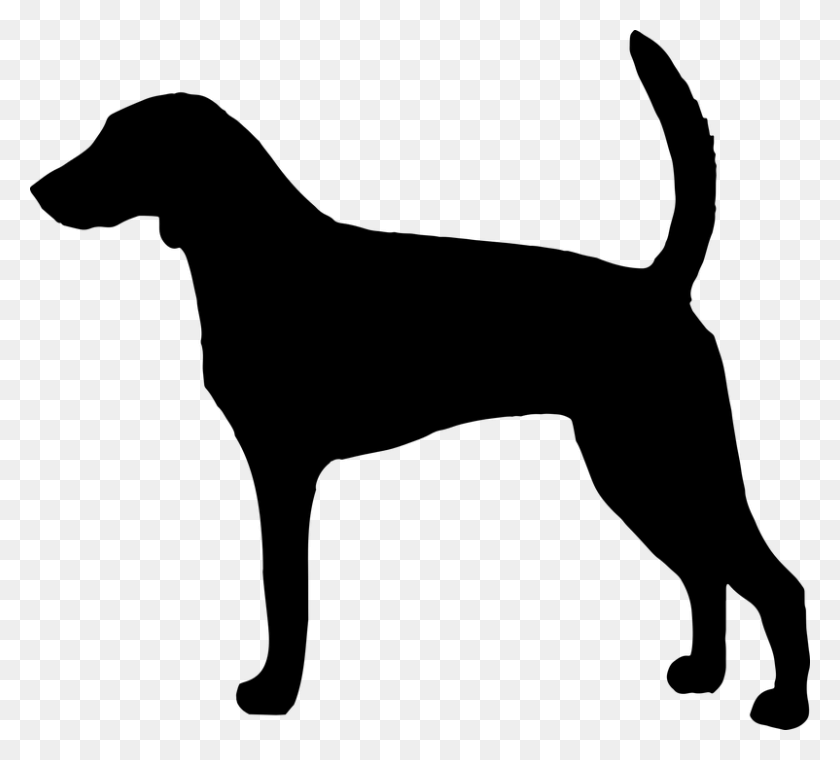 802x720 American Foxhound Dog Dog Silhouette Dog Art Foxhound Silhouette, Gray, World Of Warcraft HD PNG Download