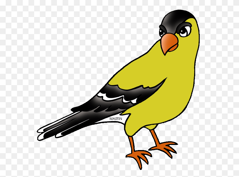 American Goldfinch Cliparts, Animal, Bird, Finch, Canary Sticker PNG