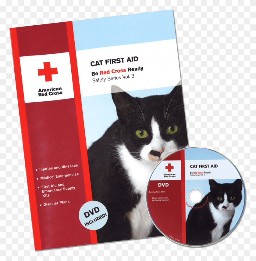 1132x1155 American Red Cross Pet First Aid, Poster, Advertisement, Cat HD PNG Download