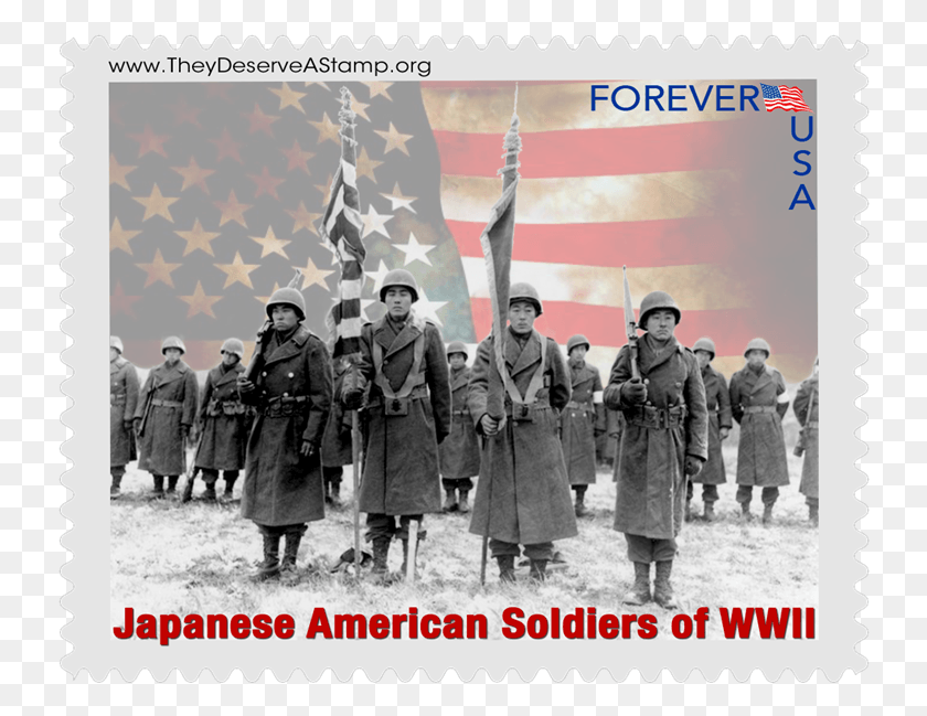 736x589 American Soldier, Person, Human, Poster HD PNG Download