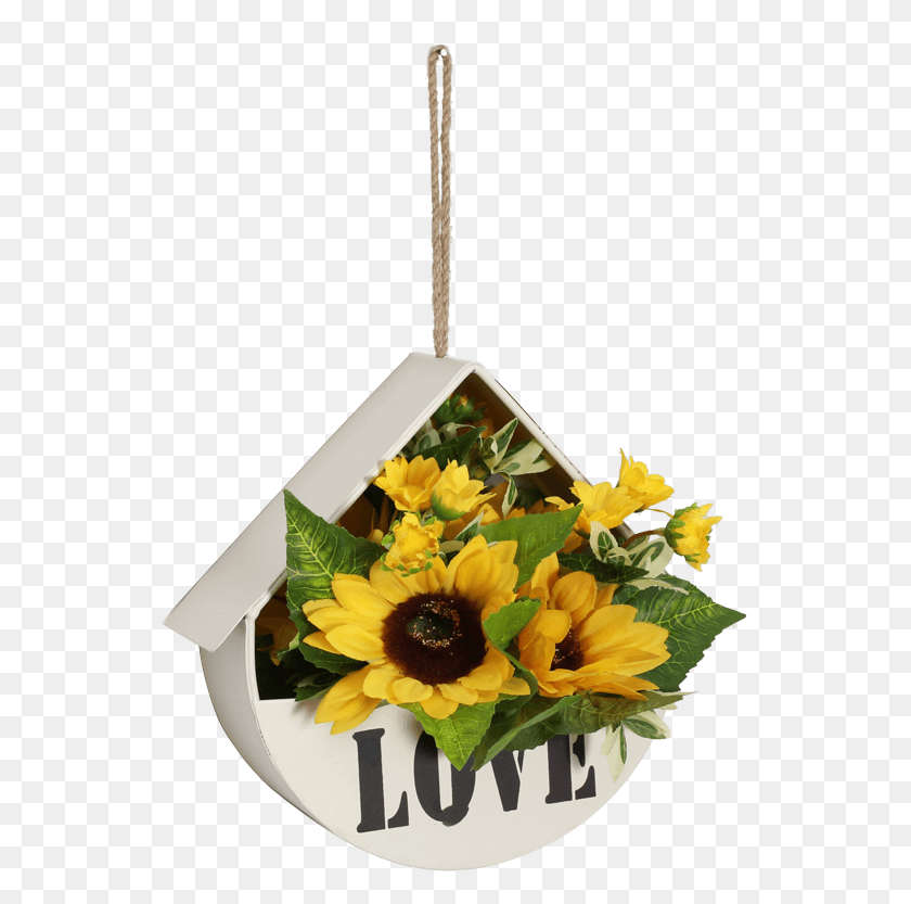 545x773 American Wrought Iron Wall Hanging Flower Pot Wall African Daisy, Plant, Flower, Blossom HD PNG Download