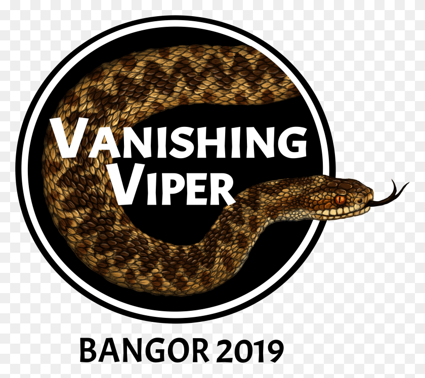 2844x2512 Amphibian And Reptile Groups Of Uk And Bangor University Lyre Snake, Animal, Rattlesnake HD PNG Download