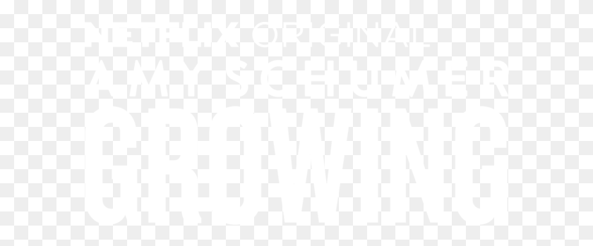 602x289 Amy Schumer Growing Amy Schumer Growing Netflix, Text, Word, Alphabet HD PNG Download