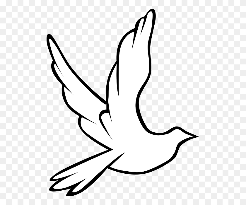 521x640 Un Ambiente Para El Espíritu Santo Pastor Doug Linser Flying Bird Blanco Y Negro, Stencil, Brazo Hd Png