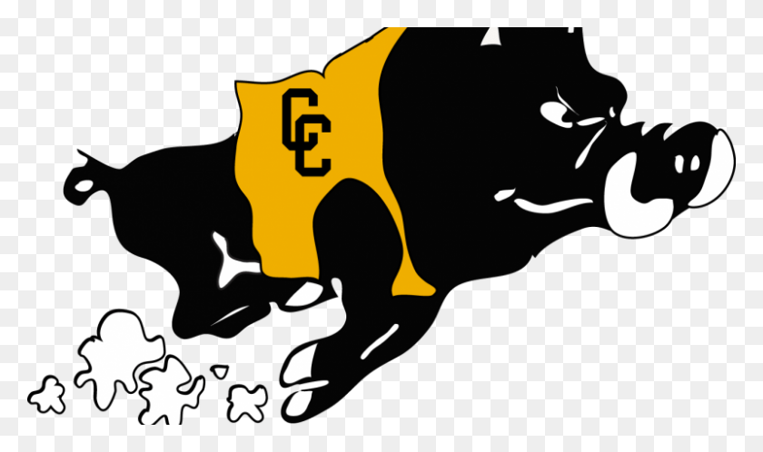 800x450 An Error Occurred Colquitt County High School Mascot, Person, Human, Text HD PNG Download