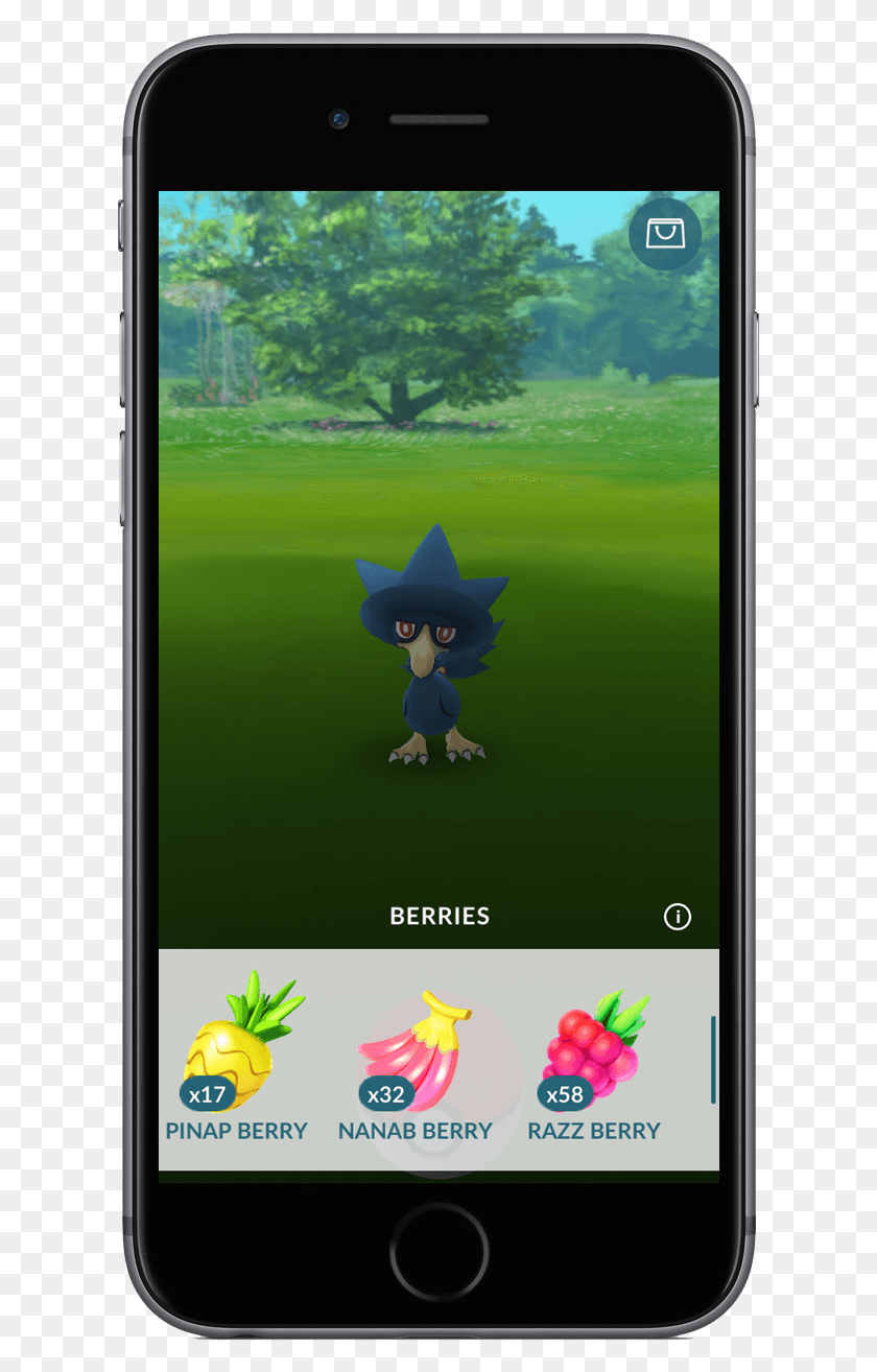 617x1254 An Error Occurred Nanab Berry Pokemon Go, Mobile Phone, Phone, Electronics HD PNG Download