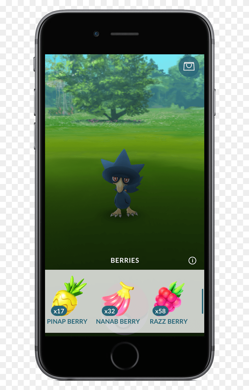 617x1254 Descargar Png / Un Error Ocurrió Nanab Berry Pokemon Go, Teléfono Móvil, Electrónica Hd Png