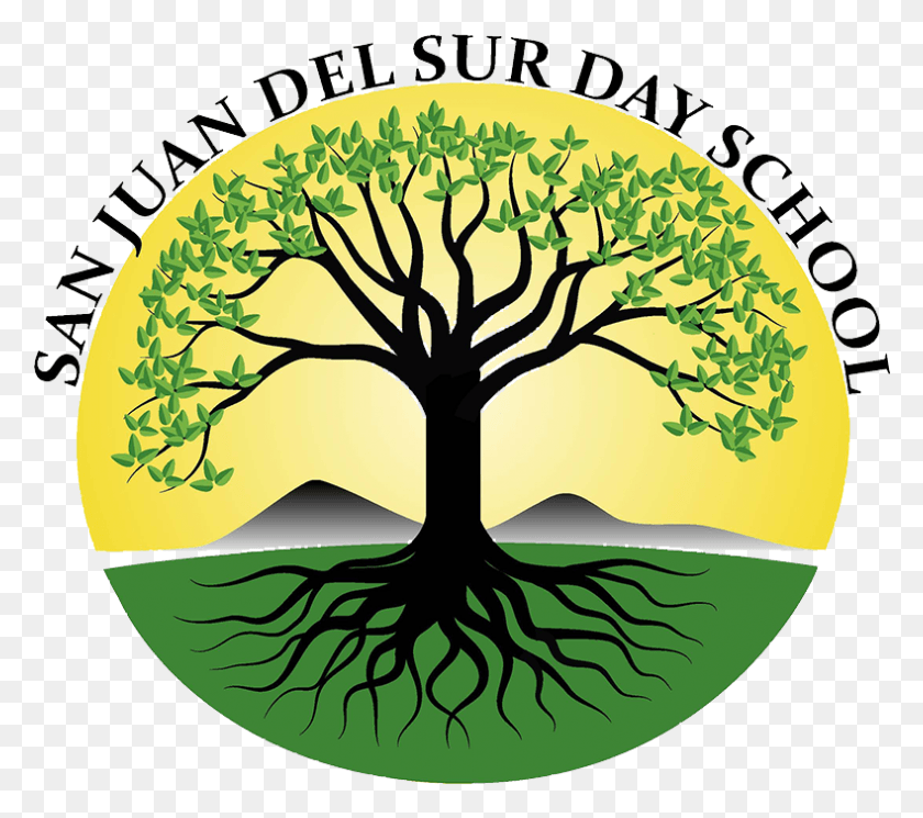 789x693 День Учителя В Никарагуа, День Учителя, Растение, Дерево, Дуб Hd Png Скачать