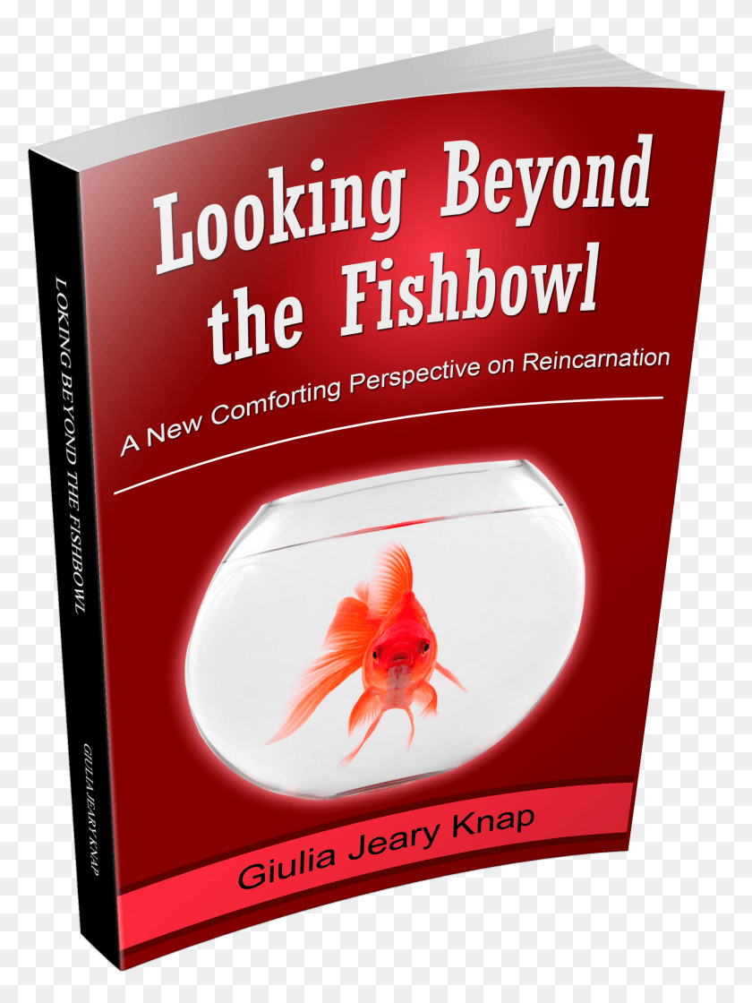 1915x2604 An Extract From Looking Beyond The Fishbowl Book Cover, Goldfish, Fish, Animal HD PNG Download