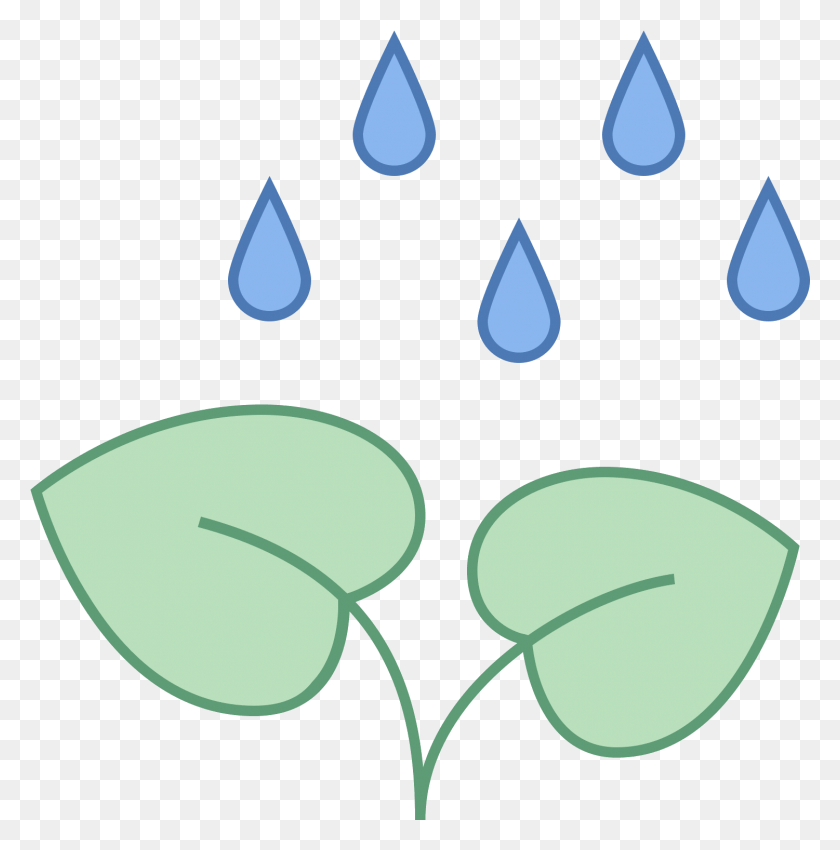 1501x1521 An Icon Of A Growing Plant With Rain Falling On Rain On A Plant Clipart, Pattern, Ornament HD PNG Download