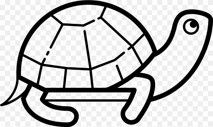 1473x881 An Icon Of A Turtle Is Animal With A Head And Body Tennis Racket Icon, Gray PNG