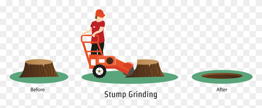 1200x444 An Illustration Demonstrating Stump Grinding In Southampton Cartoon Stump Grinder, Tree Stump, Person, Human HD PNG Download