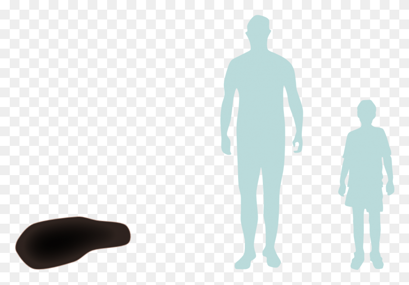 1288x870 An Illustration Shows Two Figures Alongside A Small Standing, Person, Human, Sleeve HD PNG Download