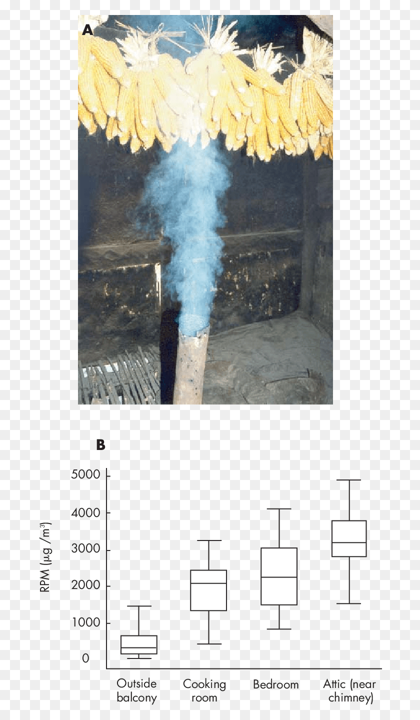 689x1380 An Important Route Of Exposure To Fluorine And Arsenic Soda Straw, Smoke, Rug, Smoking HD PNG Download