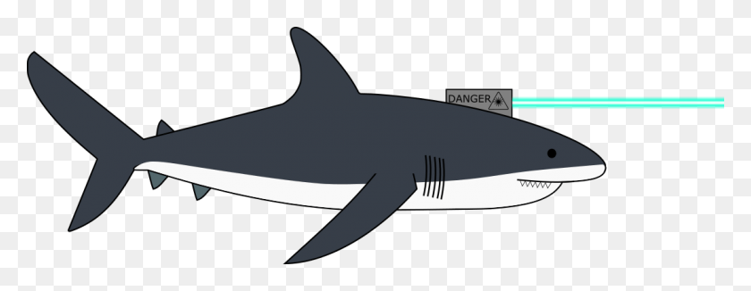 1110x379 Обновленный Рисунок Нашей Гипотетической Акулы Большая Белая Акула, Морская Жизнь, Рыба, Животное Hd Png Скачать