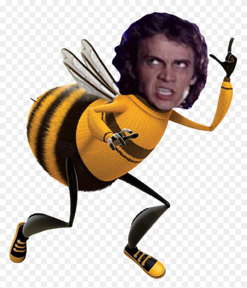 1024x1211 Anakin Sticker Barry Bee Benson, Invertebrate, Animal, Insect HD PNG Download