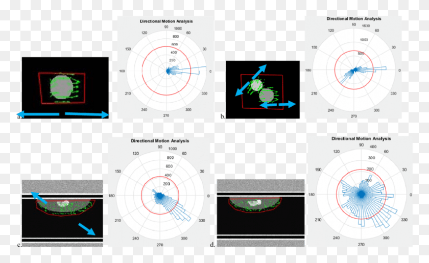 793x463 Analyzed Simulation Videos Circle, Clock Tower, Tower, Architecture HD PNG Download