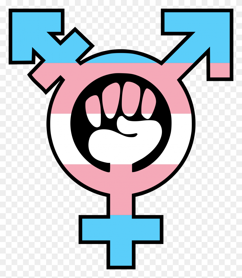 2048x2378 Anarchismonline Happy Transgender Day Of Visibility, Hand, Fist, Symbol HD PNG Download
