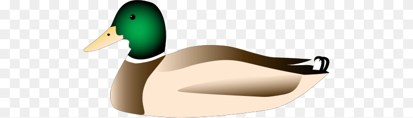 502x241 Anas Platyrhynchos Simple Mallard Duck Drawing, Animal, Waterfowl, Bird, Anseriformes Clipart PNG