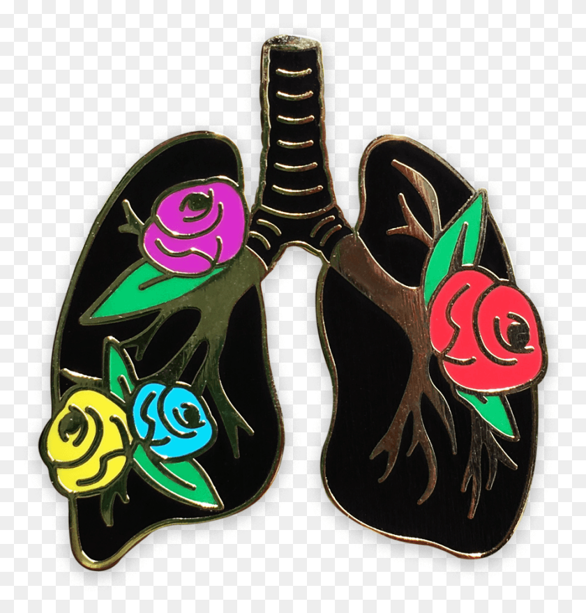 884x929 Anatomy Bloom Lungs Pin By The C Project, Animal, Graphics HD PNG Download