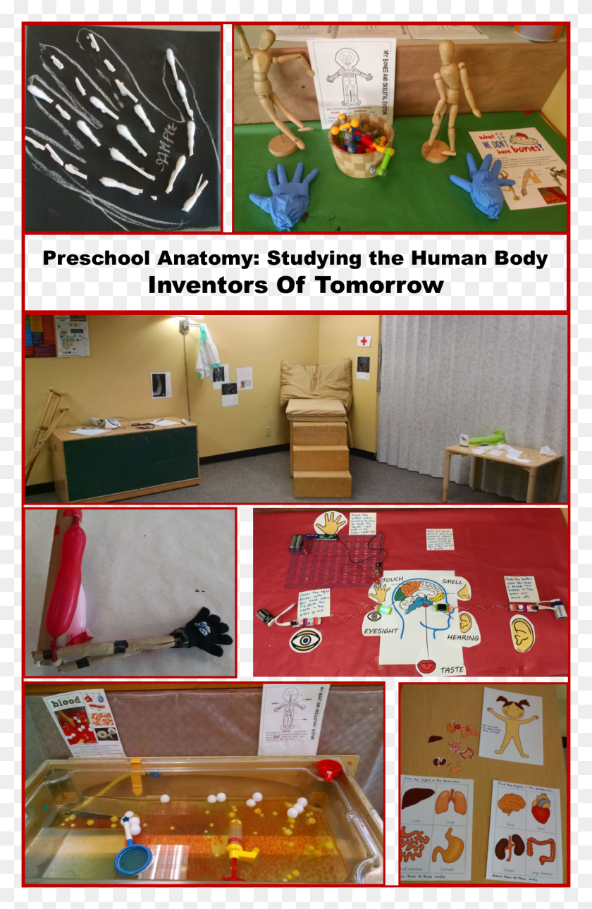 1301x2053 Anatomy Is A Great Topic For Experiential Science Learning Room, Collage, Poster, Advertisement HD PNG Download