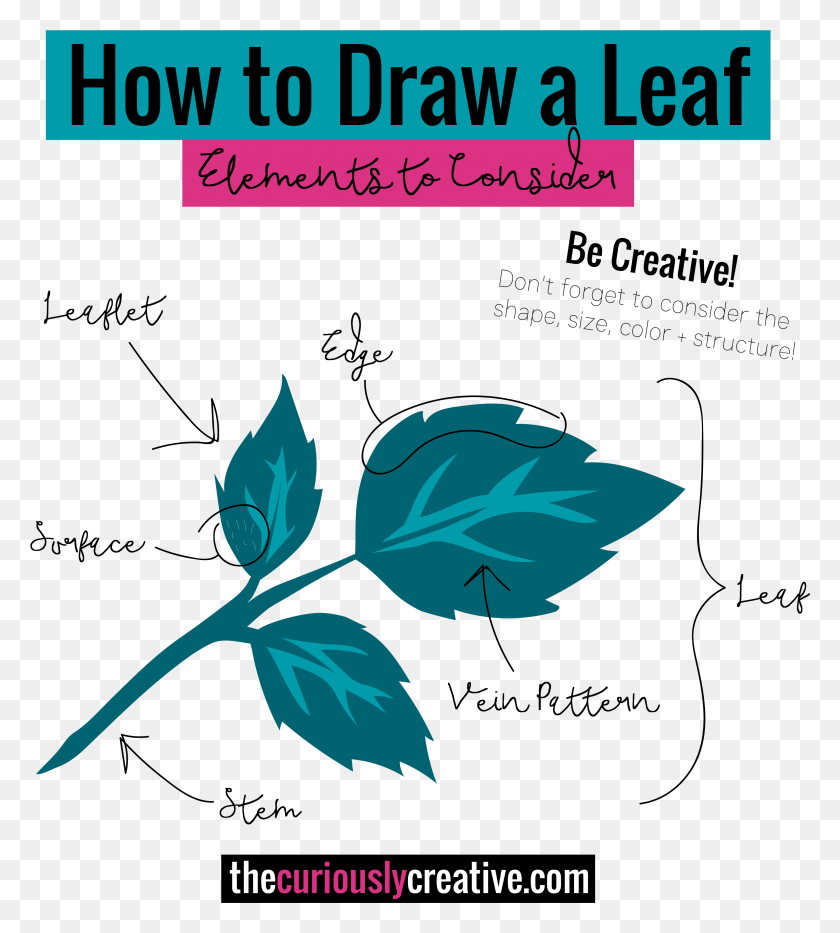 3157x3537 Anatomy Of A Leaf Drawings For Sav3 Environment, Plant, Green, Flower HD PNG Download