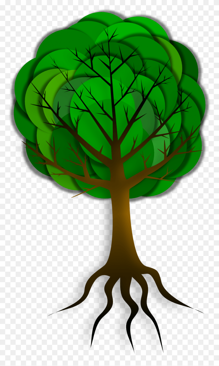 986x1696 Descargar Png / Arboles, Corrupción, India, Cartel, Planta, Patrón, Fractal Hd Png