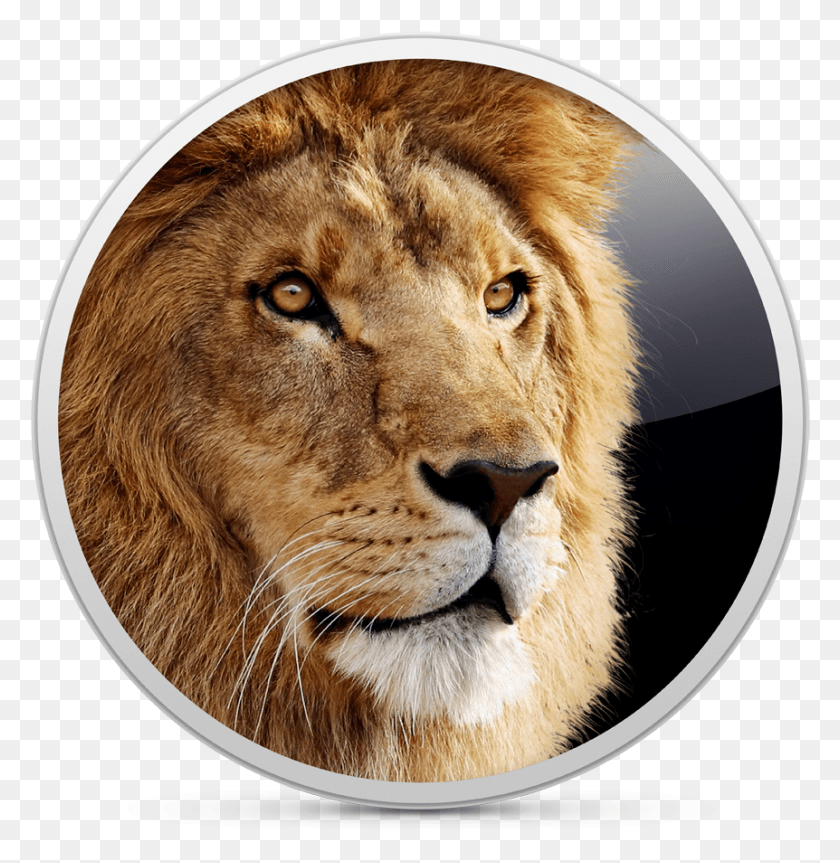 862x888 Логотип Mac Os X Lion, Дикая Природа, Млекопитающее, Животное, Hd Png Скачать