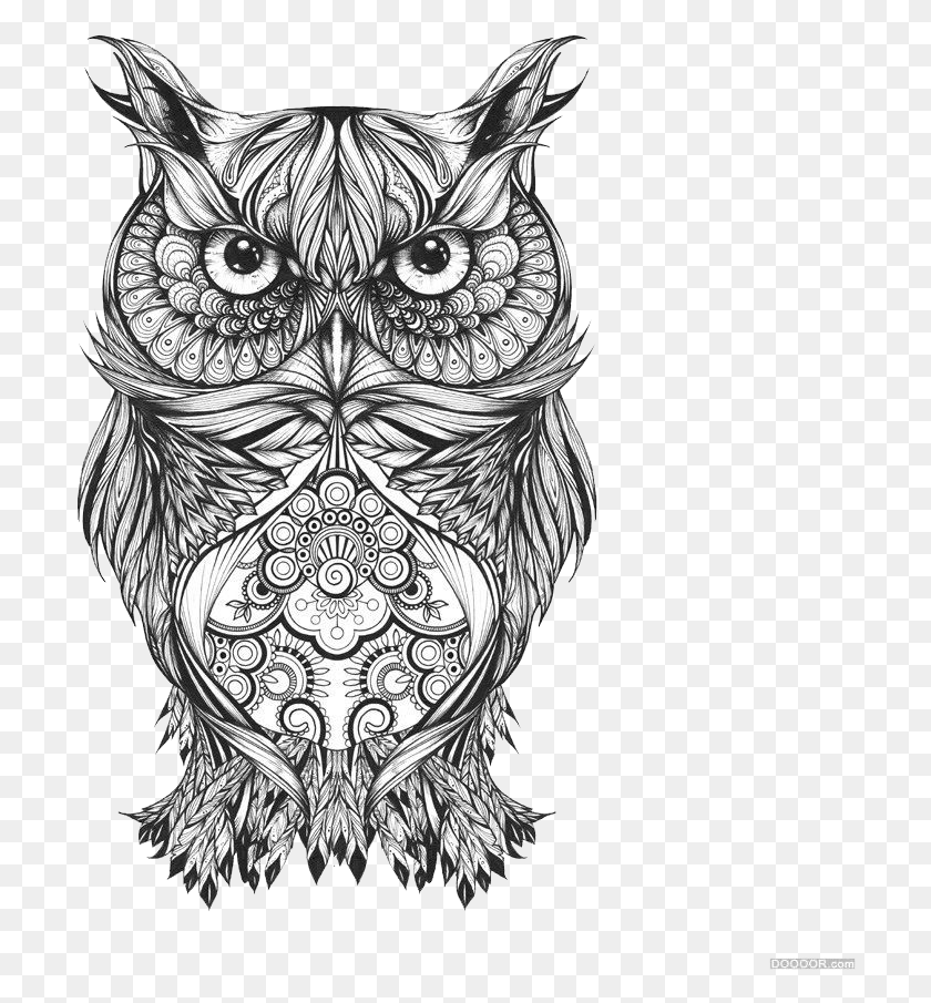 704x845 And Owl Arts Pattern National Sketch Visual Clipart Owl Drawing Tattoo, Doodle HD PNG Download