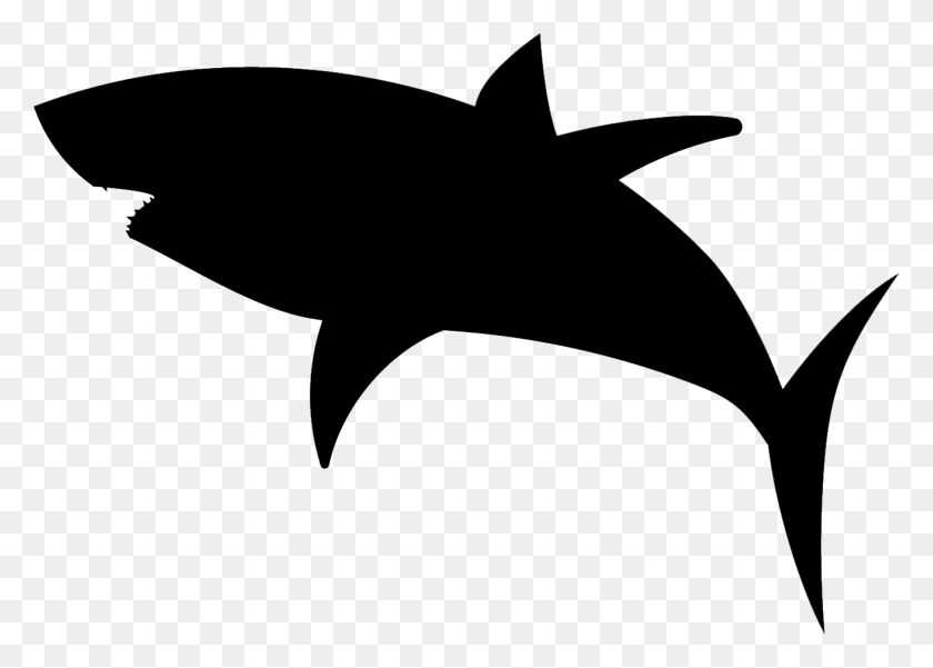 1310x909 Большая Белая Акула Силуэт Акулы, Морская Жизнь, Рыба, Животное Png Скачать