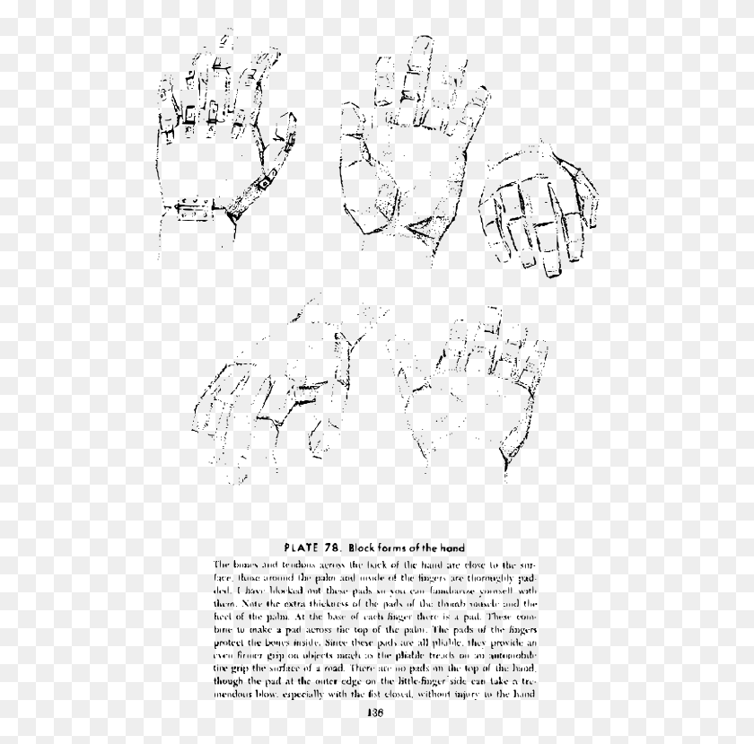 496x769 Andrew Loomis Drawing The Head And Hands 123 Hand Block Loomis, Gray, World Of Warcraft HD PNG Download